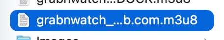 Downloaded GrabnWatch m3u8 playlist selected