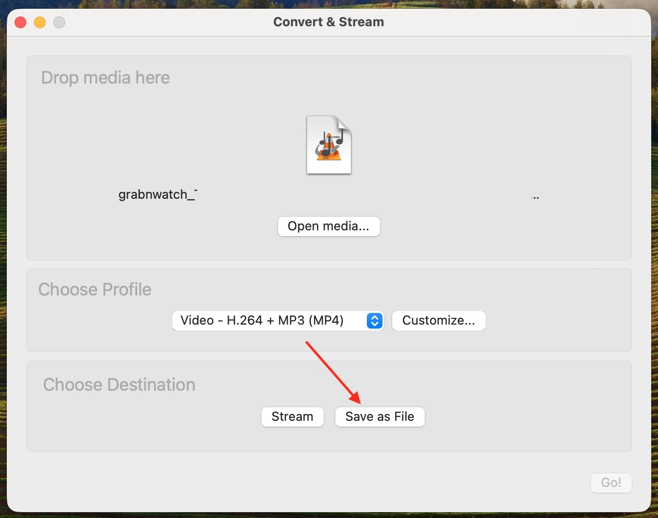 VLC profile selected and Save as File button marked