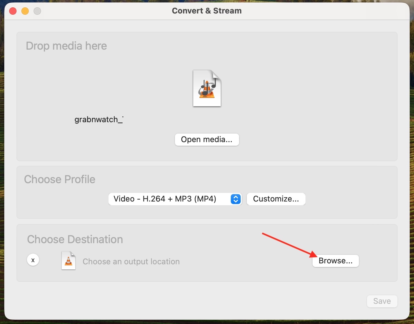Browse button for choosing the output file