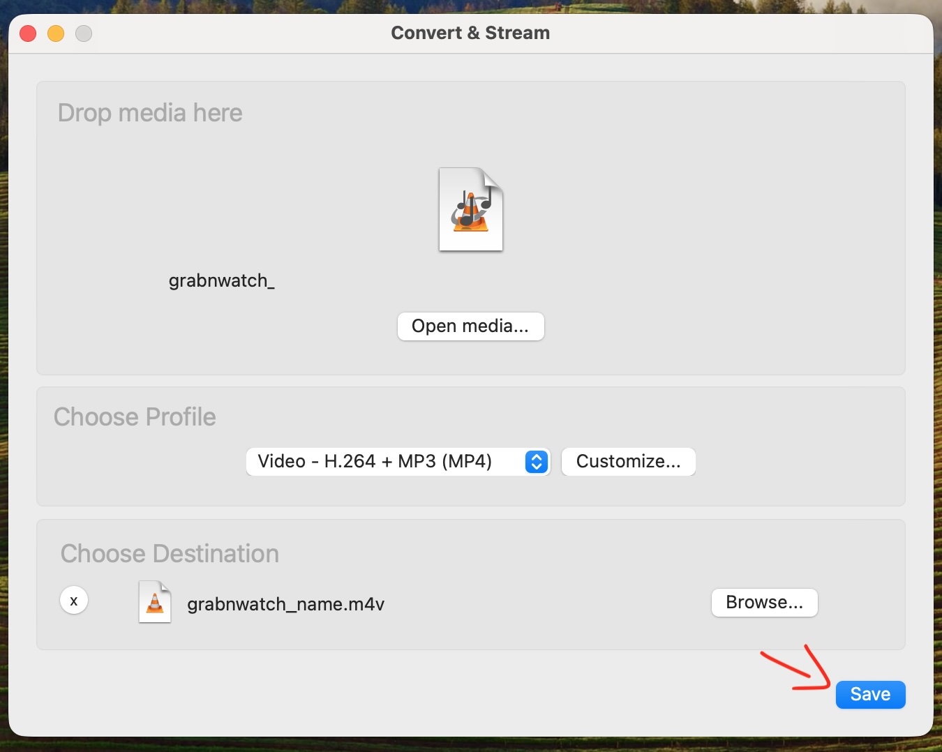Output file selected and VLC Save button marked