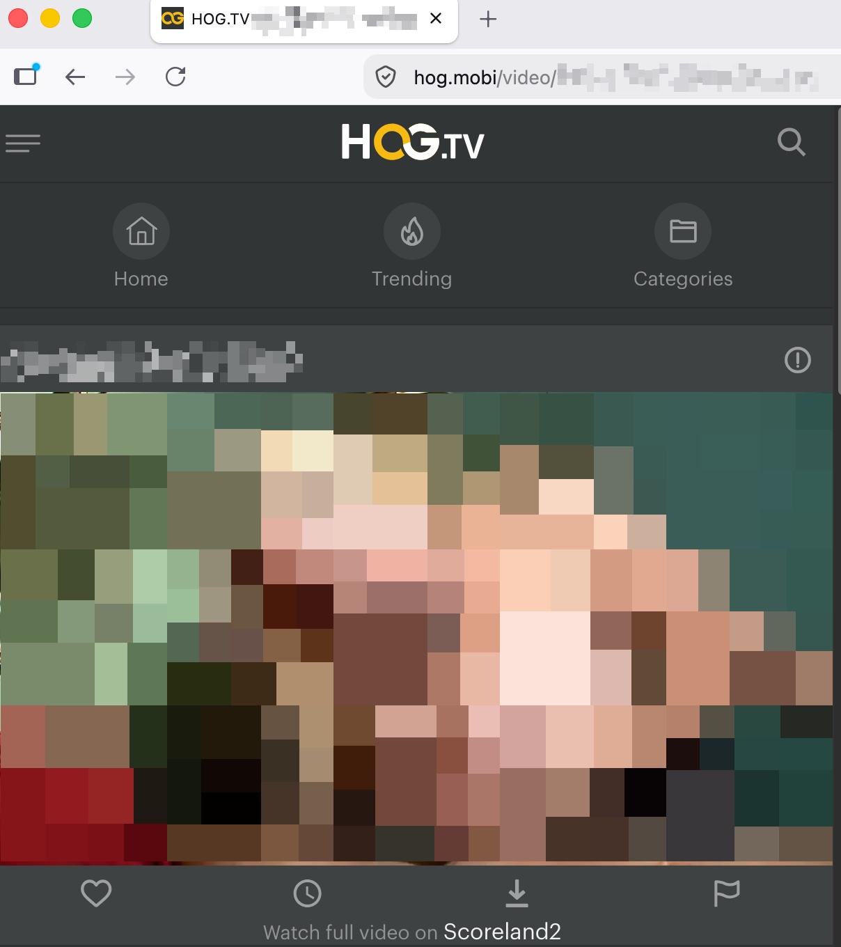 A HOG.TV video page with a hog.mobi video address in the browser