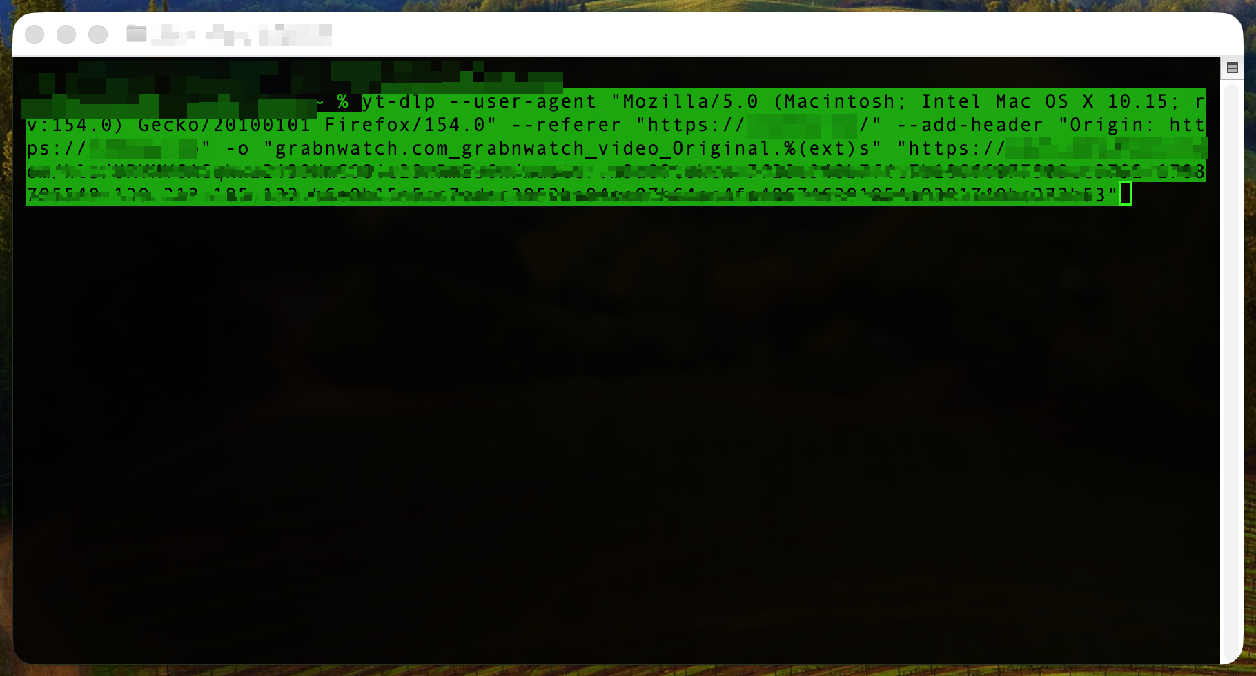 GrabnWatch download command pasted into a terminal
