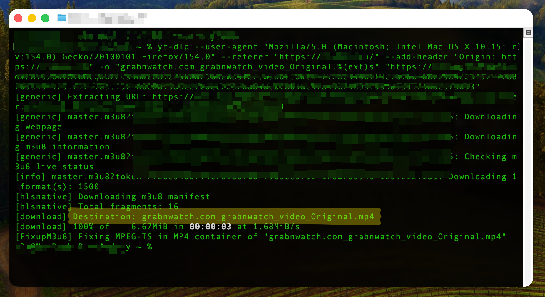 Terminal showing a completed video download